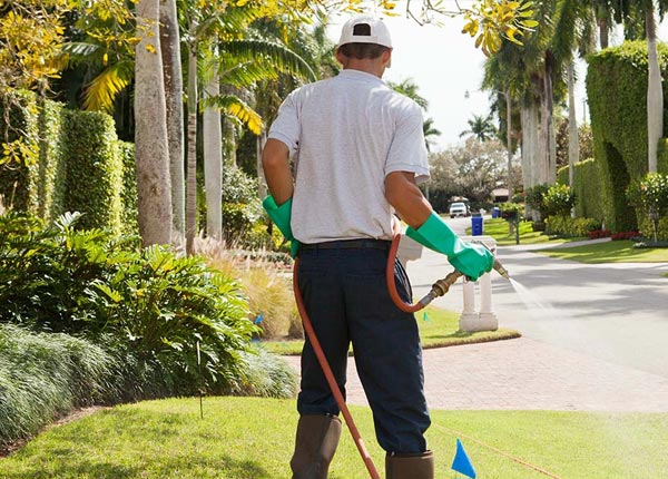 About Markleysburg PA Pest Control Pros